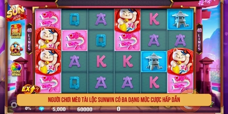 Người chơi Mèo tài lộc SUNWIN có đa dạng mức cược hấp dẫn